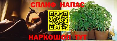 мяу мяу мука Пугачёв