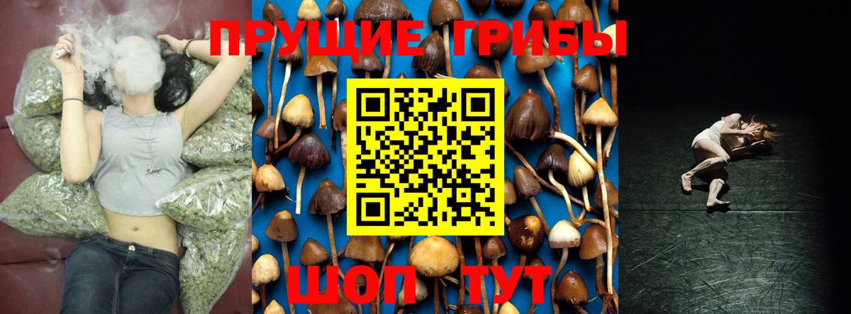 Галлюциногенные грибы MAGIC MUSHROOMS Советский